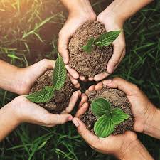 Mission Life: Great Vision of InAmigos Foundation for a Sustainable Development Future